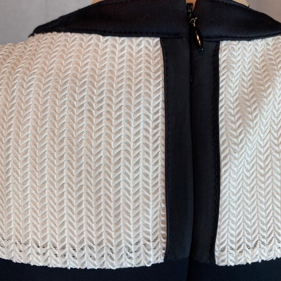 STELLA & JAMIE Black & White Midi Pencil Dress - Picture 6 of 8